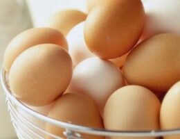 Куриные яйца польза и вред