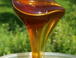 Гречишный мед: польза и вред