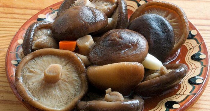 готовые грибы в тарелке